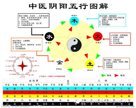 五行相生剋|五行相生相剋:五行,四季五行,相生相剋,概念對應,五行數理,五行方。